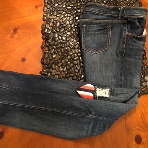 TOMMY HILFIGER Girl’s Jeans